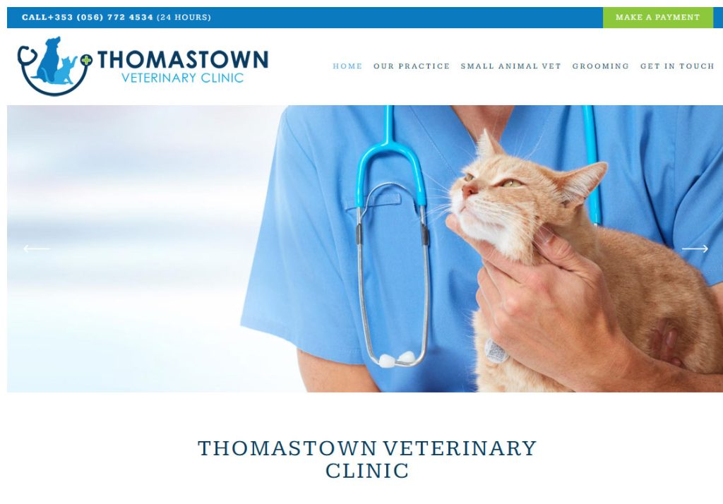 Web Design Kilkenny - Vets website