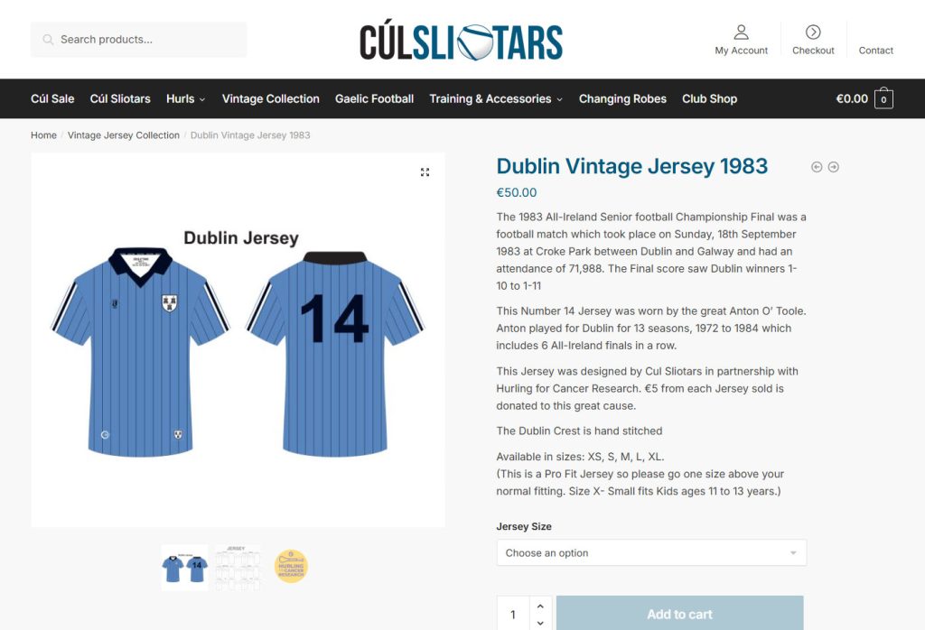 web-design-kilkenny-2 eCommerce Website Design Kildare