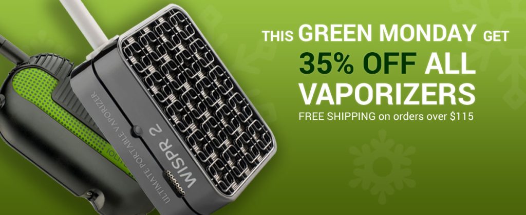 green-monday-website-banner iolite - web design carlow kilkenny